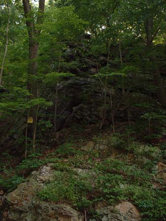 DSCF0076