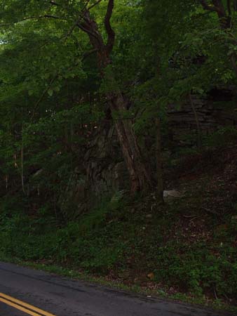DSCF0078