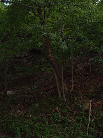 DSCF0079