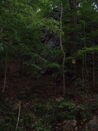 DSCF0080