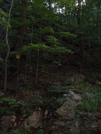 DSCF0081