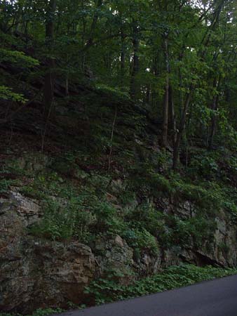 DSCF0082