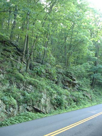 DSCF0083