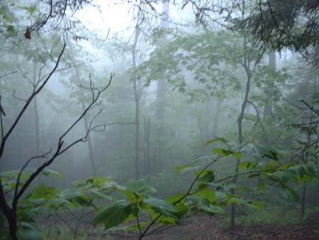 DSCF0090