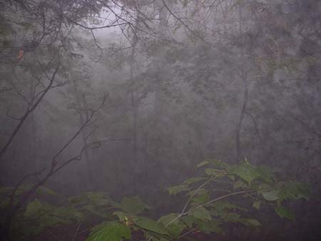 DSCF0091