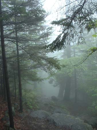 DSCF0092