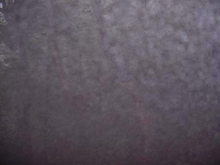 DSCF0095