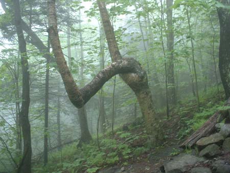 DSCF0097