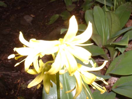 DSCF0116