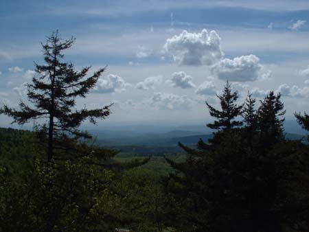 DSCF0130