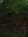 DSCF0079