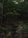 DSCF0081