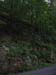 DSCF0082
