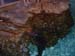 DSCF0084