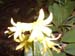 DSCF0116