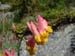 DSCF0132