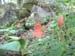 DSCF0134