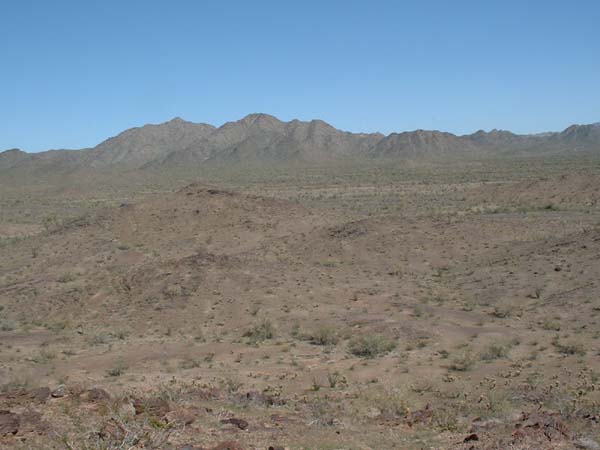 DSCF0037