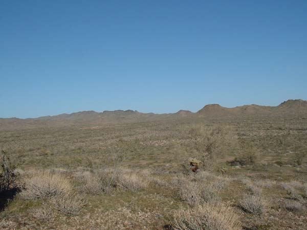 DSCF0046