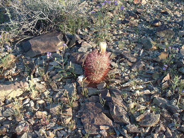 DSCF0047