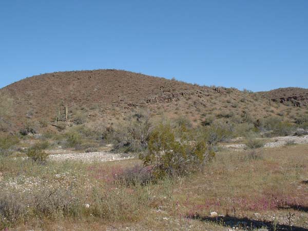 DSCF0051