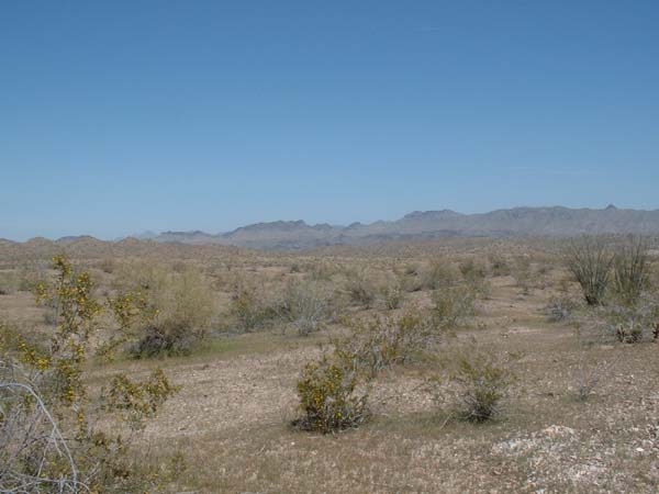 DSCF0055