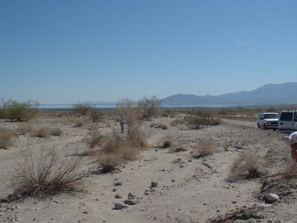 DSCF0097
