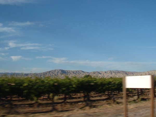 DSCF0103