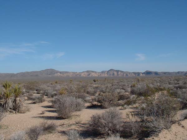 DSCF0114