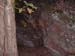 DSCF0042