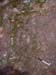 DSCF0046