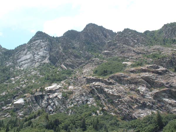 DSCF0005