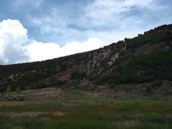 DSCF0008