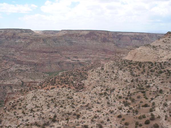 DSCF0037