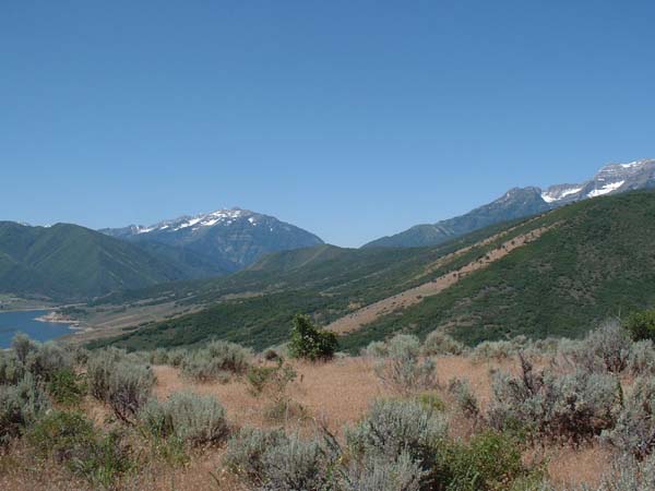 DSCF0095