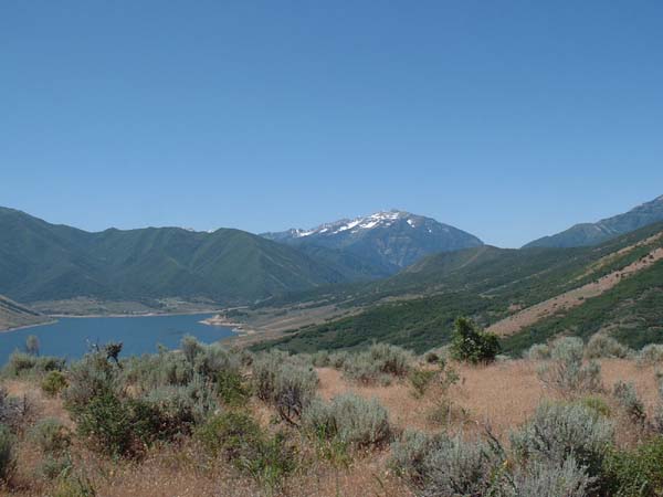 DSCF0096