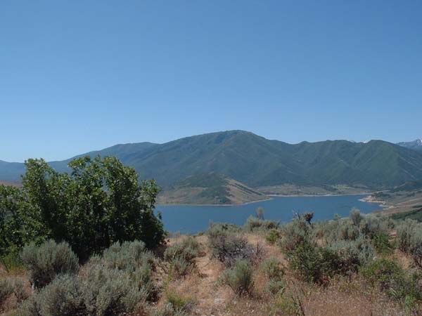 DSCF0098