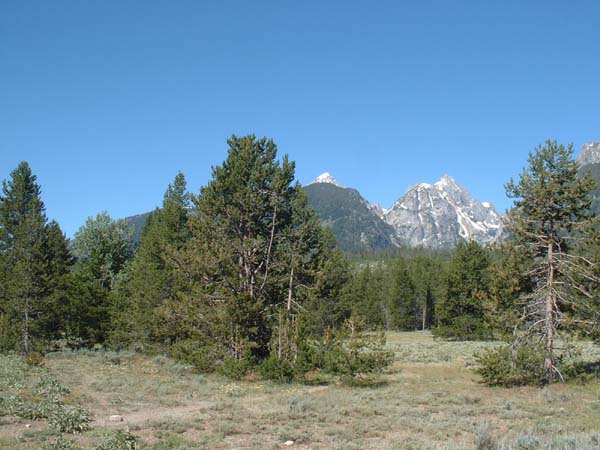 DSCF0162