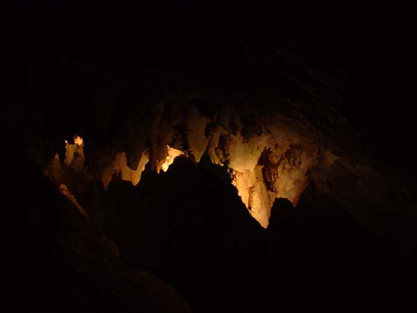 DSCF0194