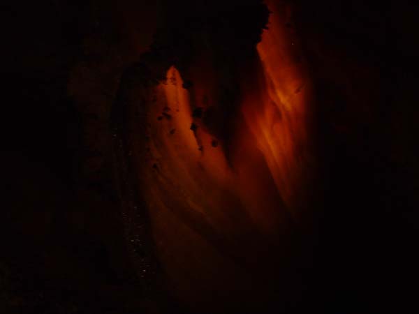 DSCF0213