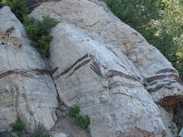 DSCF0238
