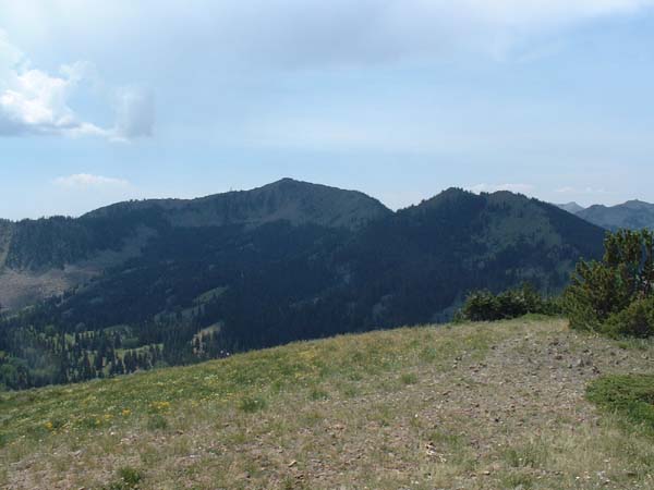 DSCF0287