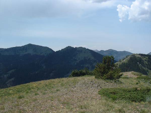 DSCF0288