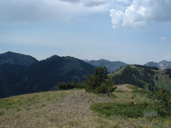 DSCF0289
