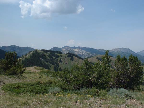 DSCF0291