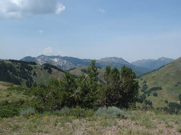 DSCF0292