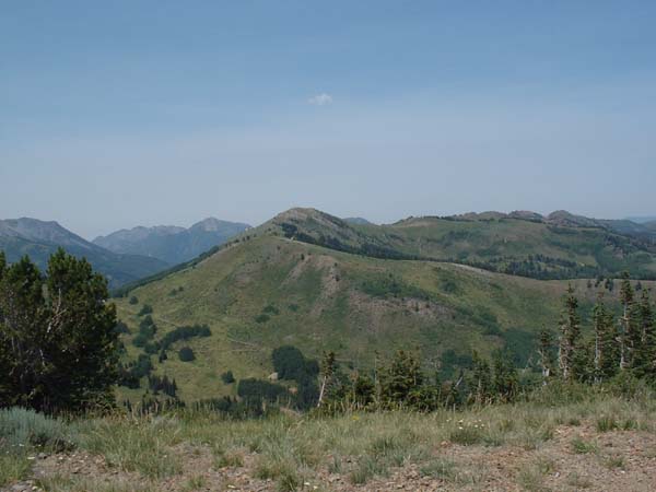 DSCF0294