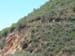 DSCF0108