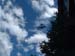 DSCF0131