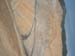 DSCF0273